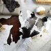 Dywan Z Krowiej Skóry, Czarno-Biały, 150X170 Cm Lumarko! Podgląd zdjęcia produktu 2