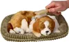 Perfect Petzzz Cavalier King Charles 96309 Produktbild-Vorschau 5