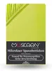 Microfaser Spannbettlaken 180x200 cm - 200x200 cm Apfelgrün Produktbild-Vorschau 1