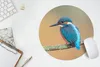MuchoWow® Mauspad Mousepad Vogel - Eisvogel - Tiere - Zweig Produktbild-Vorschau 5