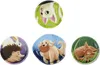 A collage of four round and square images, each featuring a different cartoon animal illustration. Produktbild-Vorschau