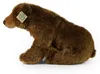 Peluche Ours 42 Cm Ecologique Voir les images du produit 5