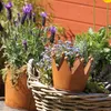 UNUS® Kronen Ø 15cm 3er Set  Rostoptik Gartendeko Tischdeko Produktbild-Vorschau 5