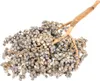 Dattelzweig mit Früchten ca. 30cm – echter getrockneter Produktbild-Vorschau 1