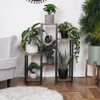 A multi-tiered plant stand filled with various potted plants is placed next to a grey armchair in a room with wooden flooring. Anteprima dell’immagine prodotto