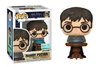 Funko Pop! Harry Potter: Harry Potter with Pensieve #179 Produktbild-Vorschau 1