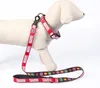Marvel Hundehalsband M / L - Verstellbar, robust & bequem Produktbild-Vorschau 4