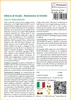 SAFLAX Insieme di coltivazione - Albero di Giuda - 60 semi Anteprima dell’immagine prodotto 3