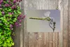 MuchoWow® Produktbild-Vorschau 5
