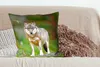 MuchoWow® Zierkissen Sofakissen Wohnzimmer Dekokissen 60x60 Produktbild-Vorschau 4