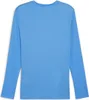Puma Teamgoal Trikot Langarm Herren - Royal Produktbild-Vorschau 2