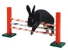 Kerbl Steilsprung für Nager Agility 70x5x35 cm Produktbild-Vorschau 1