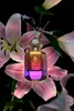 Parfums d’Elmar KAYA Extrait de Parfum 60ml Produktbild-Vorschau 5