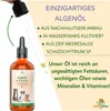 Algenöl für Hunde 100 ml - Vegane und nachhaltige Produktbild-Vorschau 3