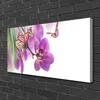 Tulup Leinwand-Bilder 100x50 Wandbild Canvas Kunstdruck Produktbild-Vorschau 2
