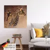 ARTland Poster Giraffen Größe: 40x40 cm Produktbild-Vorschau 5