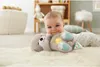 Vydra na spanie Fisher-Price Náhľad obrázku produktu 9