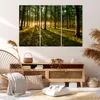 Bild auf Leinwand - Leinwandbild - Wald grün Sonnenstrahlen Produktbild-Vorschau 7