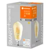LEDVANCE Chytrá LED žárovka s technologií WiFi ve zlatém Náhled obrázku produktu 2