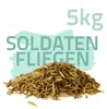 Soldatenfliegenlarven 5kg Produktbild-Vorschau