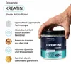 SUPERSONIC +ACTIVE Kreatin Monohydrat liposomal 350 g – Produktbild-Vorschau 6