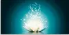 Vadim Georgiev: Magie der Lotus-Blume türkis - Glasbild, Produktbild-Vorschau 1