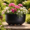 HowHomely | Donica – czarny – 30 x 14 cm (wysokość) – Podgląd zdjęcia produktu 2