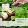 Chinesischer Senfkohl Samen (Pak Choi, 150 Korn) - Pak Choi Produktbild-Vorschau 2