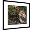 MuchoWow® Gerahmtes Poster Schleichender Jaguar im Wald Produktbild-Vorschau 1