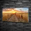Tulup® Glas-Bild - 100x50 -Wandkunst - Wandbild hinter Produktbild-Vorschau 2