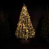 A decorated Christmas tree at night, with other trees in the background. Produktbild-Vorschau
