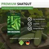 Mini Snackgurke Salamanda F1 Samen - Cucumis sativus - Produktbild-Vorschau 8
