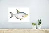 MuchoWow® Poster Fisch - Kolonie Realismus 30x20 cm - Produktbild-Vorschau 5