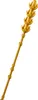 LEGO® Botanicals 30701 Fleurs des champs Voir les images du produit 9