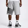 Pánské teplákové kraťasy Cocaine Life US Fleece Short Grey Náhled obrázku produktu 2