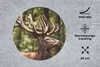 MuchoWow® Mauspad Mousepad Hirsch - Natur - Geweih - Wald - Produktbild-Vorschau 2