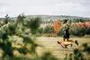 Ruffwear Lumenglow™ High-Vis Jacket, Kolor:Blaze Orange, Podgląd zdjęcia produktu 19