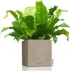 Fioriera LECHUZA CANTO Stone 40 Low Sand beige | fioriera Anteprima dell’immagine prodotto 7