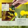 Löwenzahn Samen - Küchenkräuter Saatgut aus biologischem Produktbild-Vorschau 2