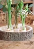 Reagenzglas Vase aus Holz, Packung mit 2 Stück, in zwei Produktbild-Vorschau 3