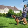 Hunter 42831, Hund, Standardkragen, Schwarz, Braun, Leder, Produktbild-Vorschau 15