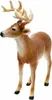 Schleich WL Cervo dalla coda bianca 14818 (14818) Anteprima dell’immagine prodotto 10