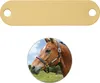 A golden metal tag is shown above a close-up of a horse's head wearing a halter. Produktbild-Vorschau