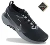 Nike Pegasus Trail 5 GTX GORE-TEX - Herren Trail-Running Produktbild-Vorschau 6