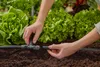 GARDENA® Micro-Drip-System 2.0 T-Stück 13 mm - 1/2" - 2er Produktbild-Vorschau 11