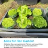 20 Stück Gemüse Schutzhauben, Schneckenschutz rund, dick, Produktbild-Vorschau 4