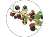 Raumduft mit Wild Beeren Aroma Produktbild-Vorschau 2