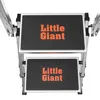 A close-up, overhead view of a two-step ladder. Anteprima dell’immagine prodotto