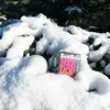 Schylling Snowball Crunch Anteprima dell’immagine prodotto 5