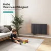 A child is playing on the floor in a living room with a radiator mounted on the wall. Anteprima dell’immagine prodotto